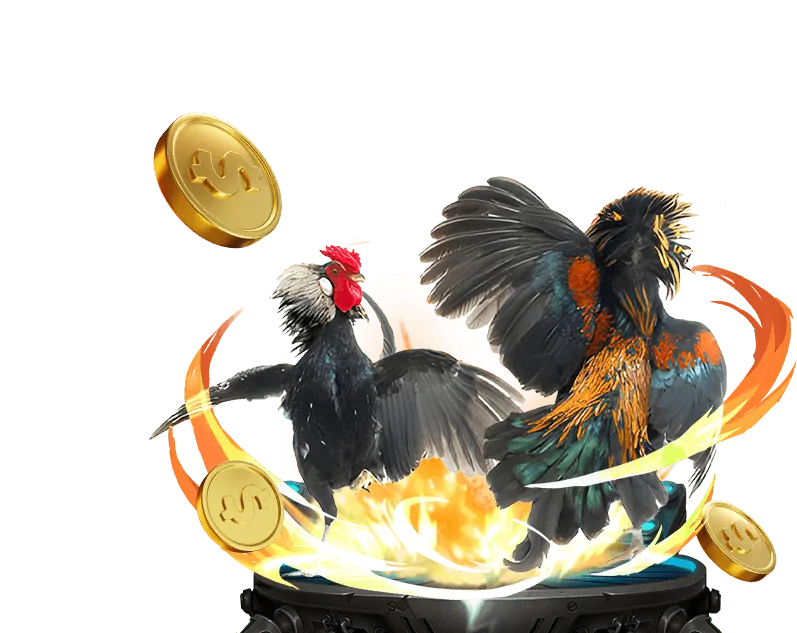 Nắm vững luật đá gà để tham gia cá cược an toàn